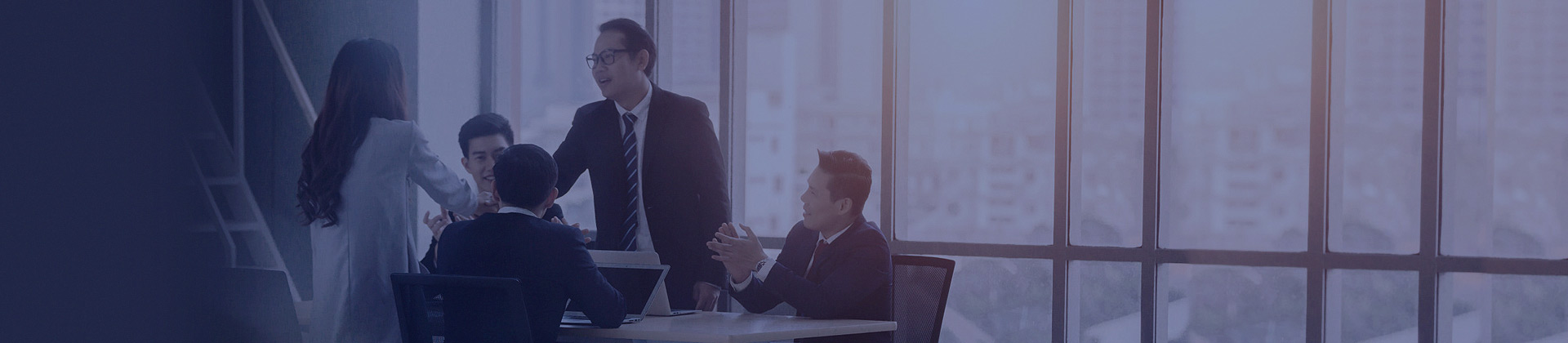 IT Consulting and Planning Services